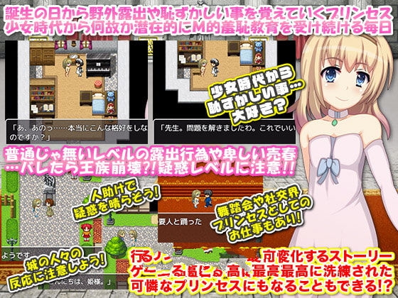 公主卖椿奋斗记！半阙精修完整汉化版+全CG-歪次元