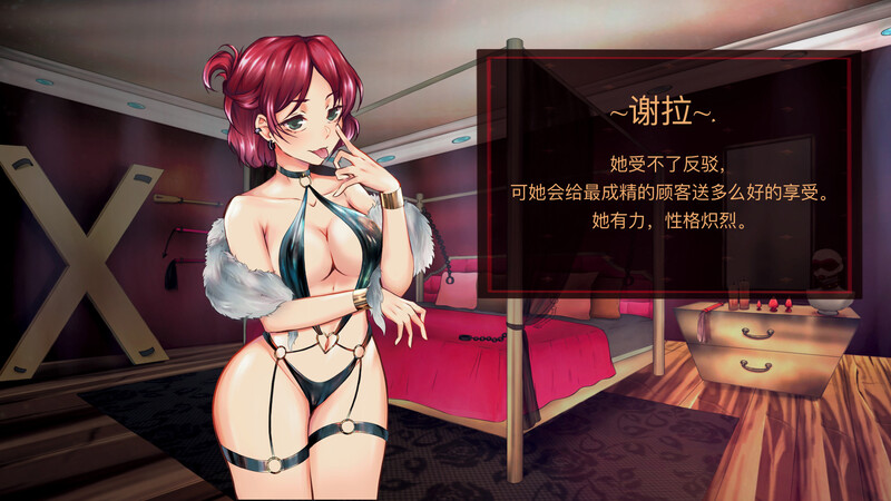 【日式SLG/官中/PC】天堂喜悦 Paradise Delight V2.0 STEAM官中步兵版  [PC]-歪次元